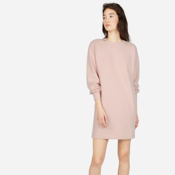 EVERLANE Women's Pink Classic Terry Crew Neck Oversized Sweater Dress Size XS - Picture 1 of 10